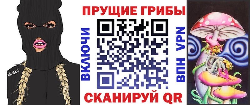 Псилоцибиновые грибы прущие грибы  наркотики  Шатура 