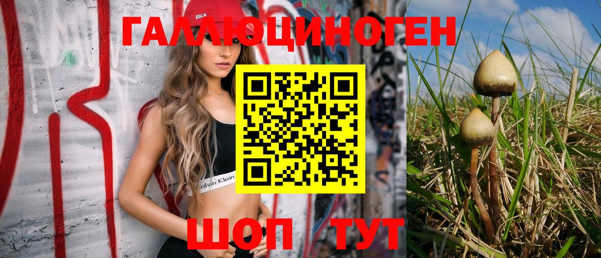 Шатура  Галлюциногенные грибы Psilocybine cubensis  купить наркоту  Вход с VPN 
