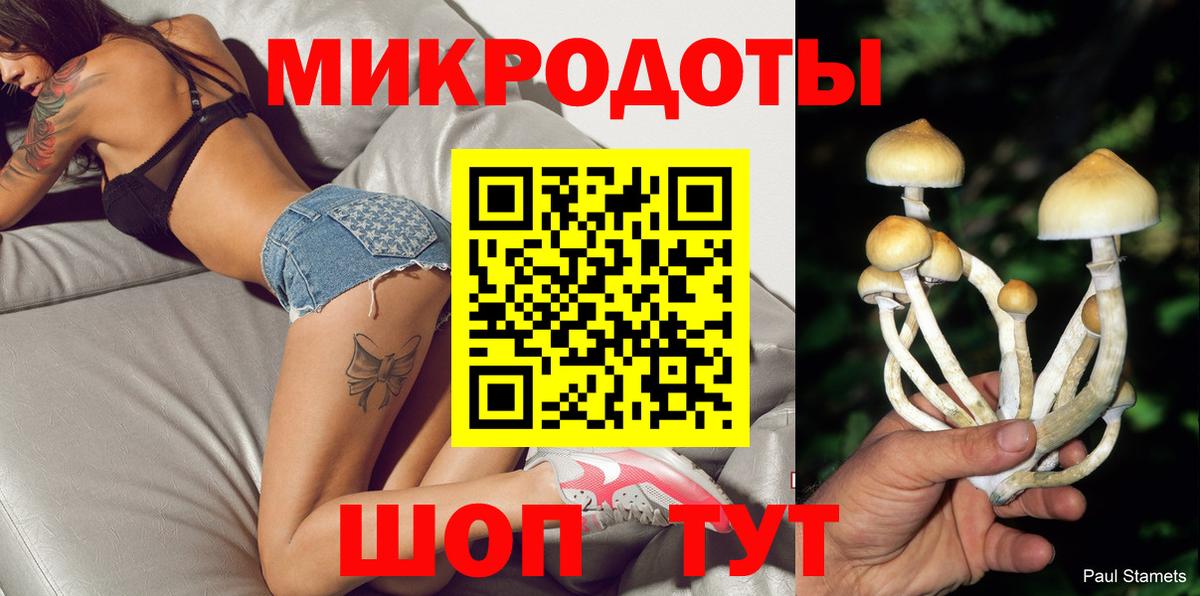 Псилоцибиновые грибы прущие грибы Шатура